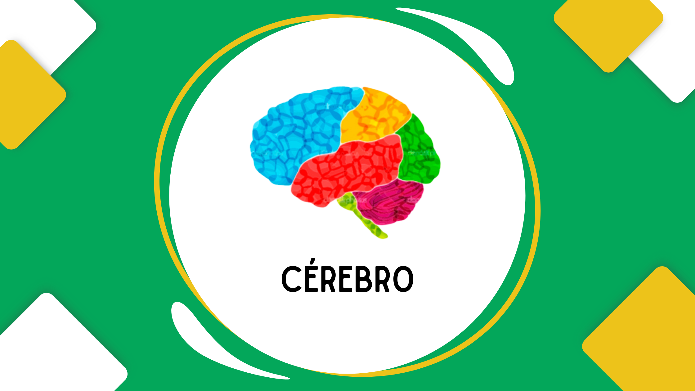 Cérebro