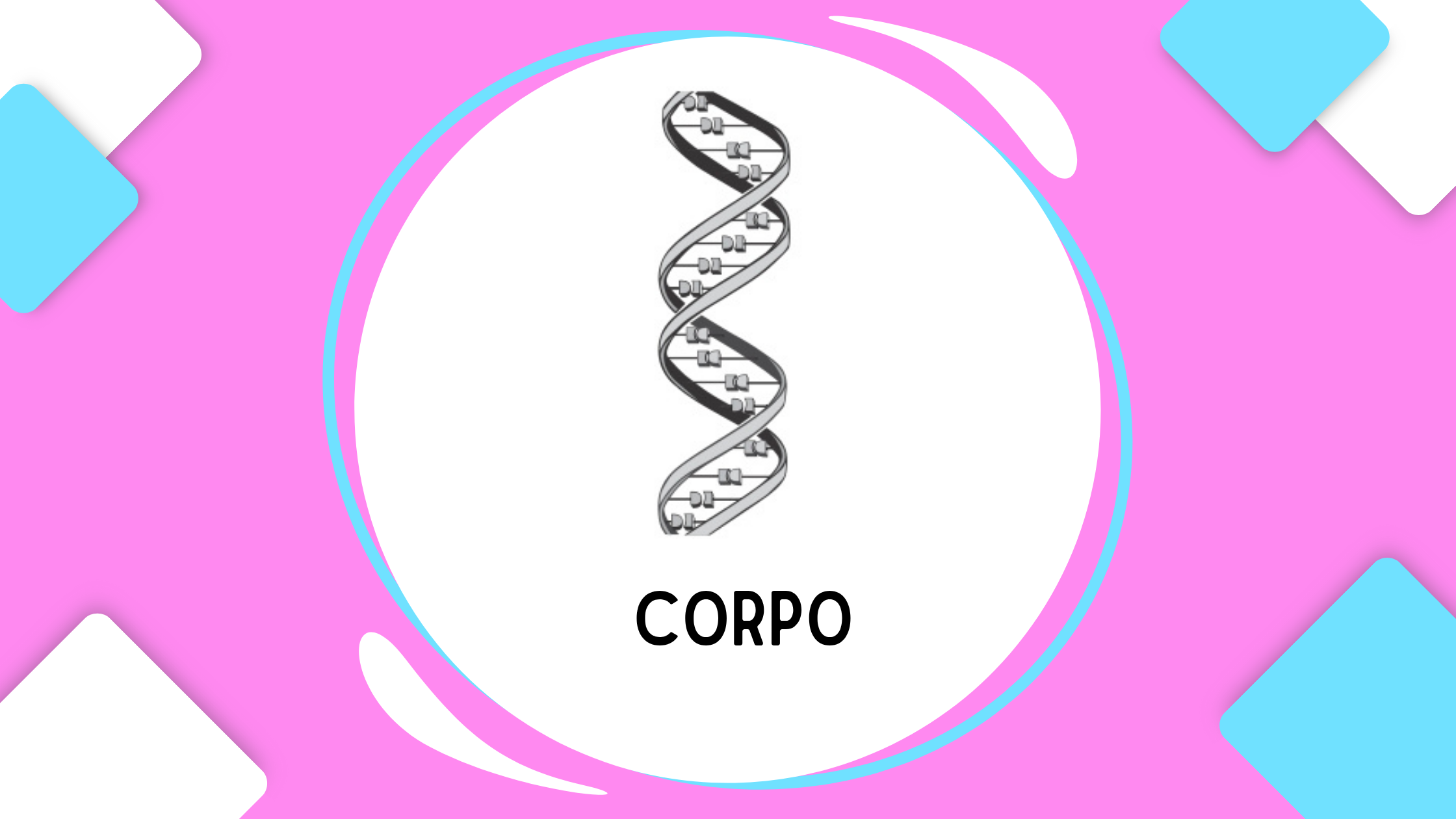 Corpo