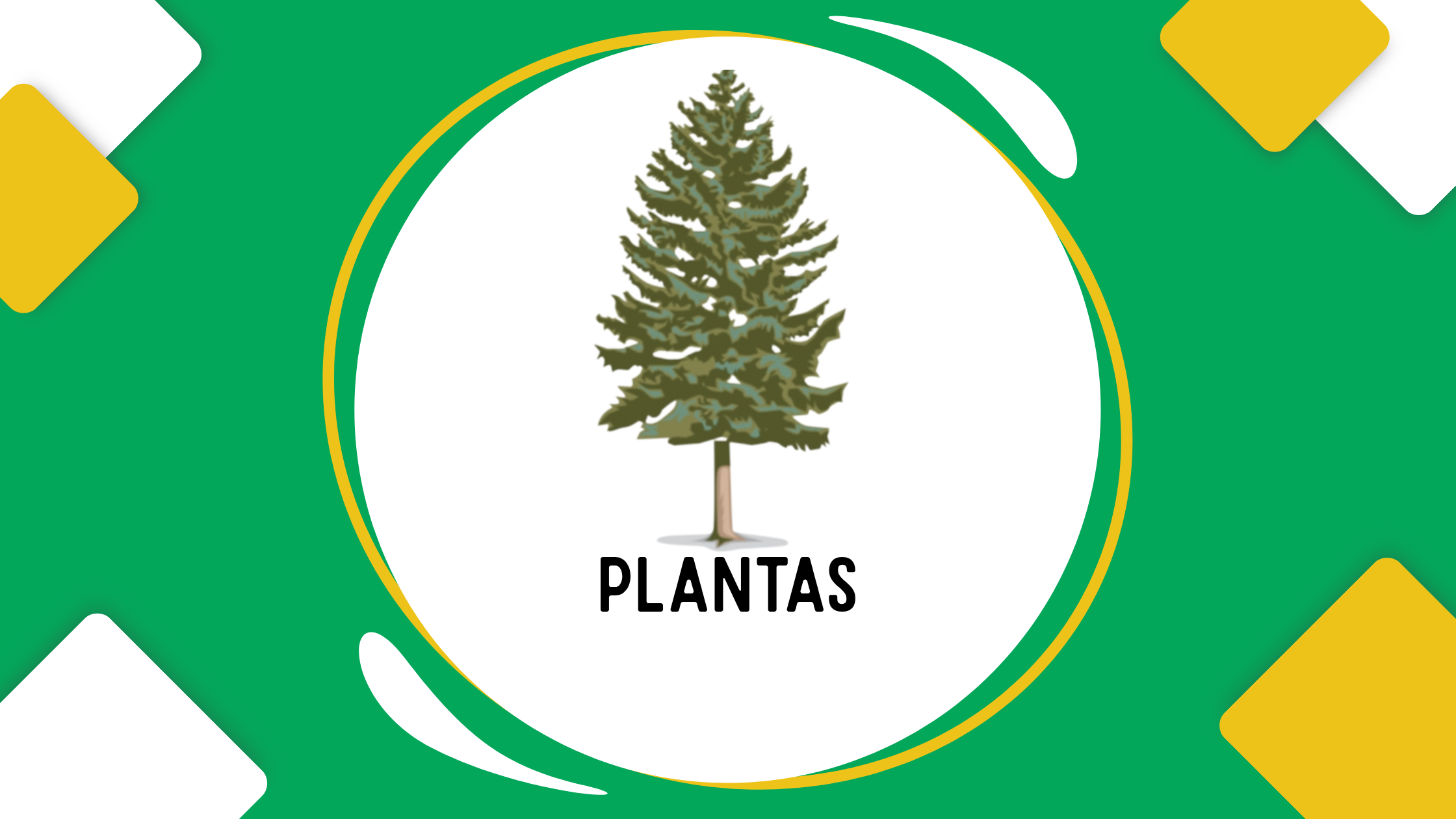 Plantas